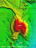 EAST GULF OF MEXICO V3 3D RELIEF SHADING CMOR CARD