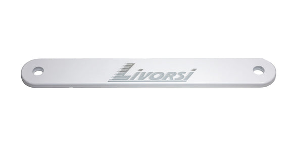 Livorsi Outboard Backing Plate