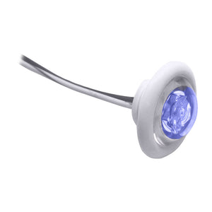 Innovadora iluminación LED de mampara/Livewell "The Shortie" LED azul con ojal blanco [011-2540-7]