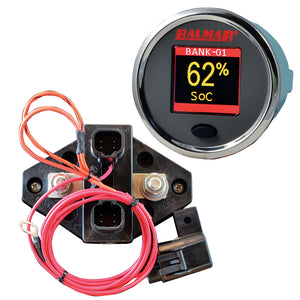 Kit de monitor de batería Balmar SG200 con cable de derivación de pantalla 10M - 12-48 VDC [SG200]