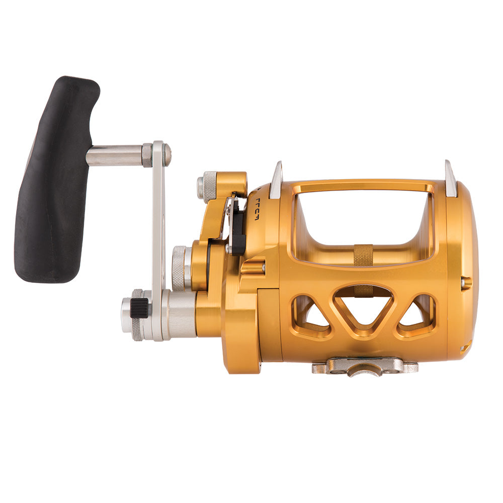 PENN International 30 VISW INT30VISW 2-Speed Conventional Reel - Gold  [1370779]